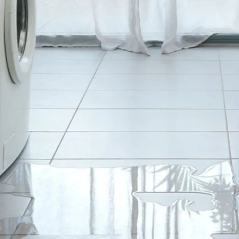 Appliance Leak Cleanup in Concord, MO