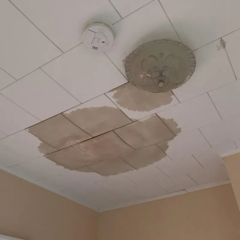 Ceiling Water Damage Repair in Concord, MO