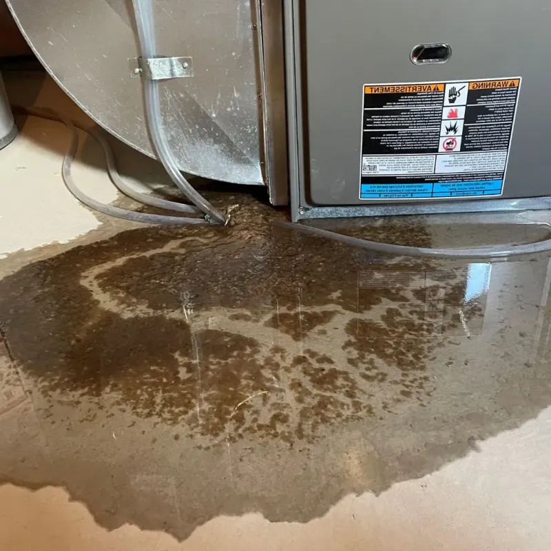 Pipe Burst and Leak Restoration in Concord, MO