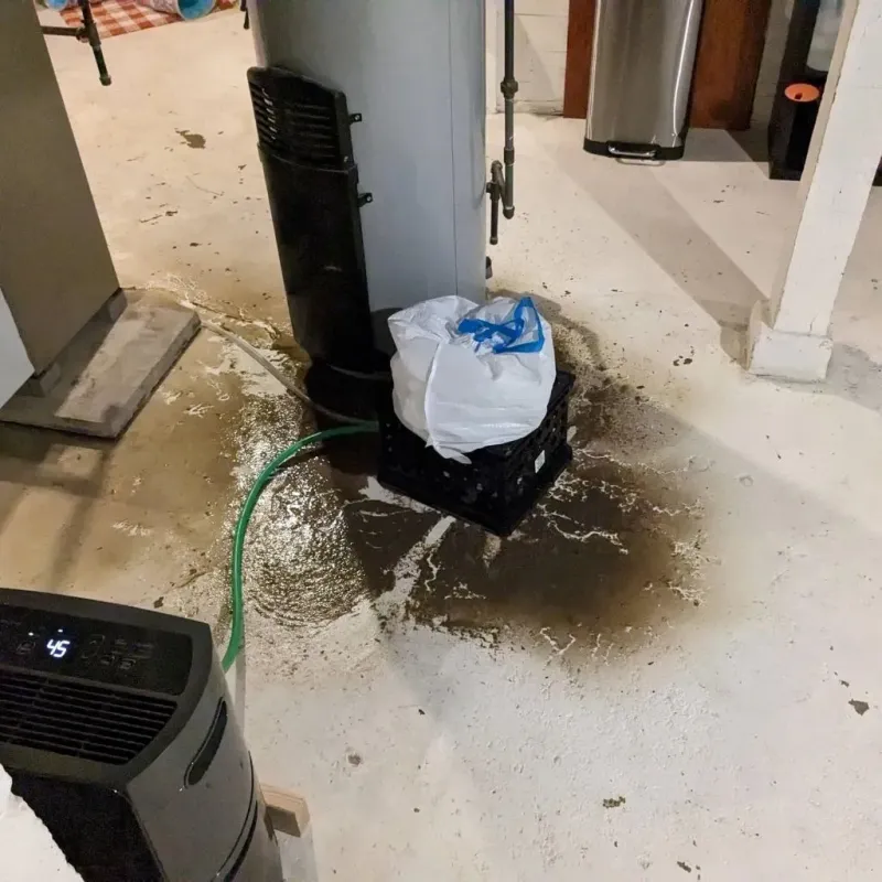 Sewage Backup Cleanup Service in Concord, MO